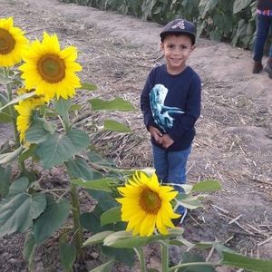 Meet your Posher, Millie